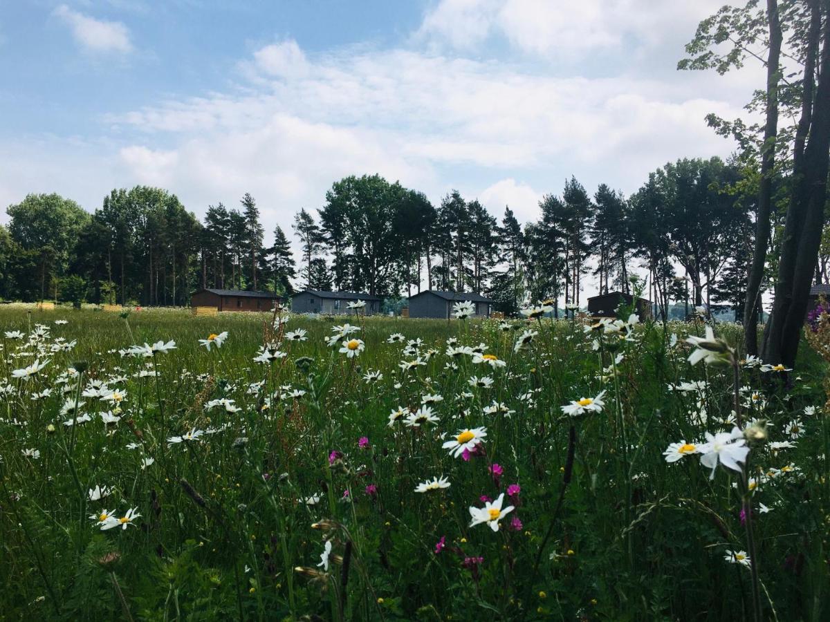 Hollicarrs - Wildflower Lodge York Zewnętrze zdjęcie