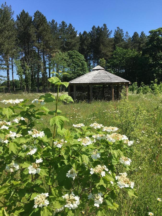 Hollicarrs - Wildflower Lodge York Zewnętrze zdjęcie