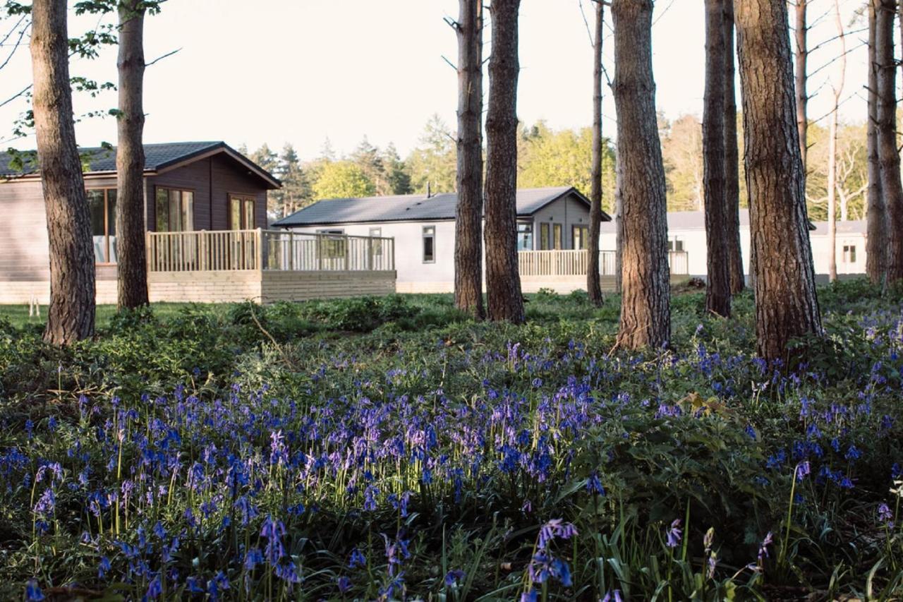 Hollicarrs - Wildflower Lodge York Zewnętrze zdjęcie