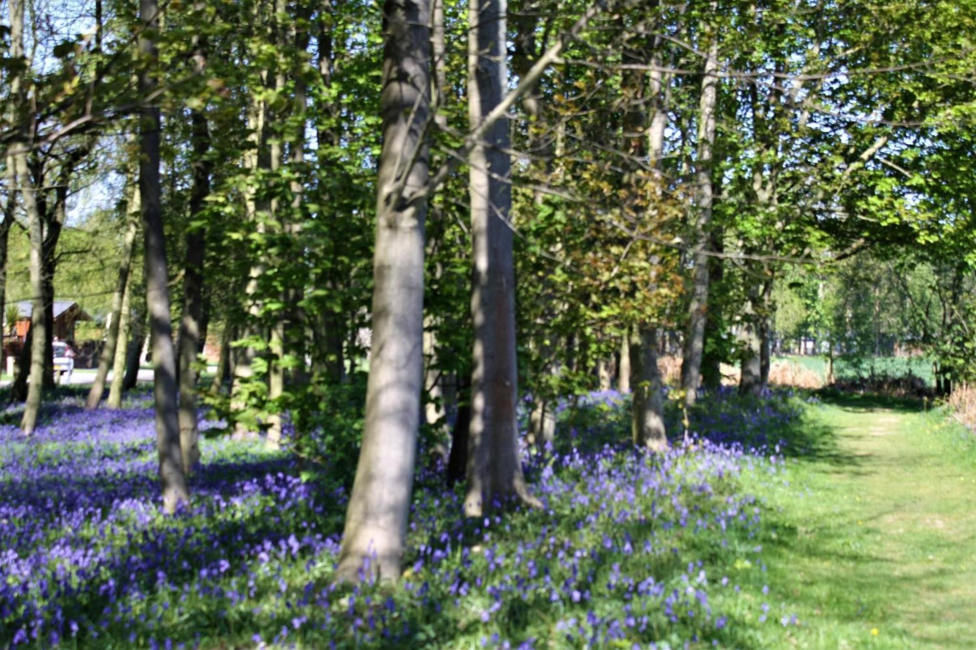Hollicarrs - Wildflower Lodge York Zewnętrze zdjęcie